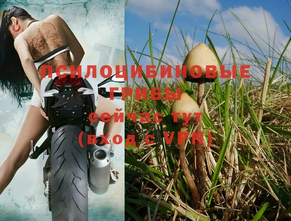 первитин Абинск