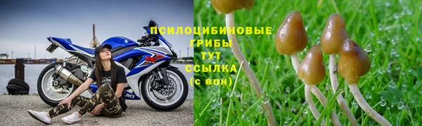 таблы Абаза