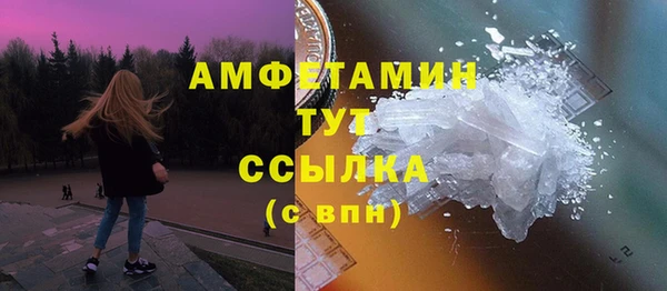 молекула духа Алексеевка