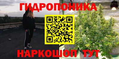 ГАЛЛЮЦИНОГЕННЫЕ ГРИБЫ Кудрово