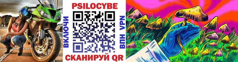 Галлюциногенные грибы прущие грибы  Абакан 