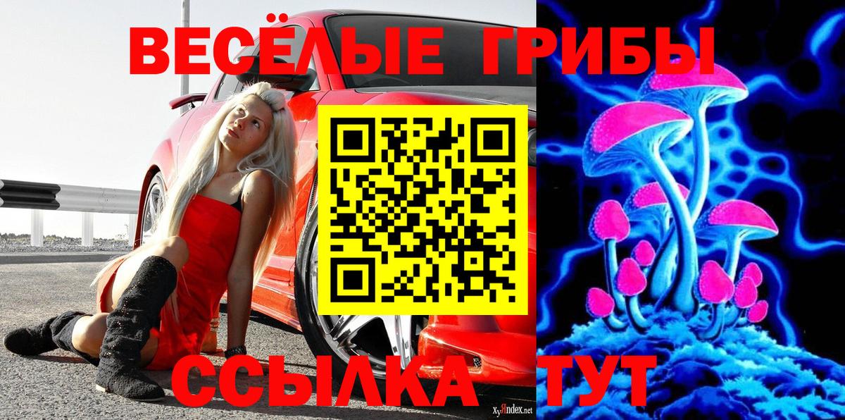 Галлюциногенные грибы GOLDEN TEACHER Абакан