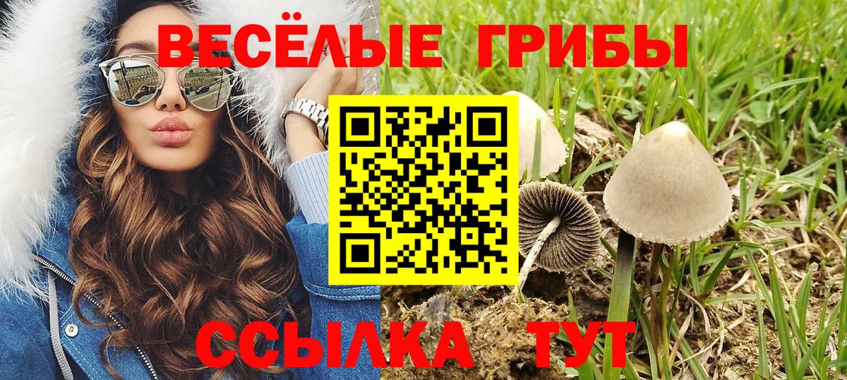 Абакан  Галлюциногенные грибы мицелий  Вход с VPN  Псилоцибиновые грибы Psilocybine cubensis 